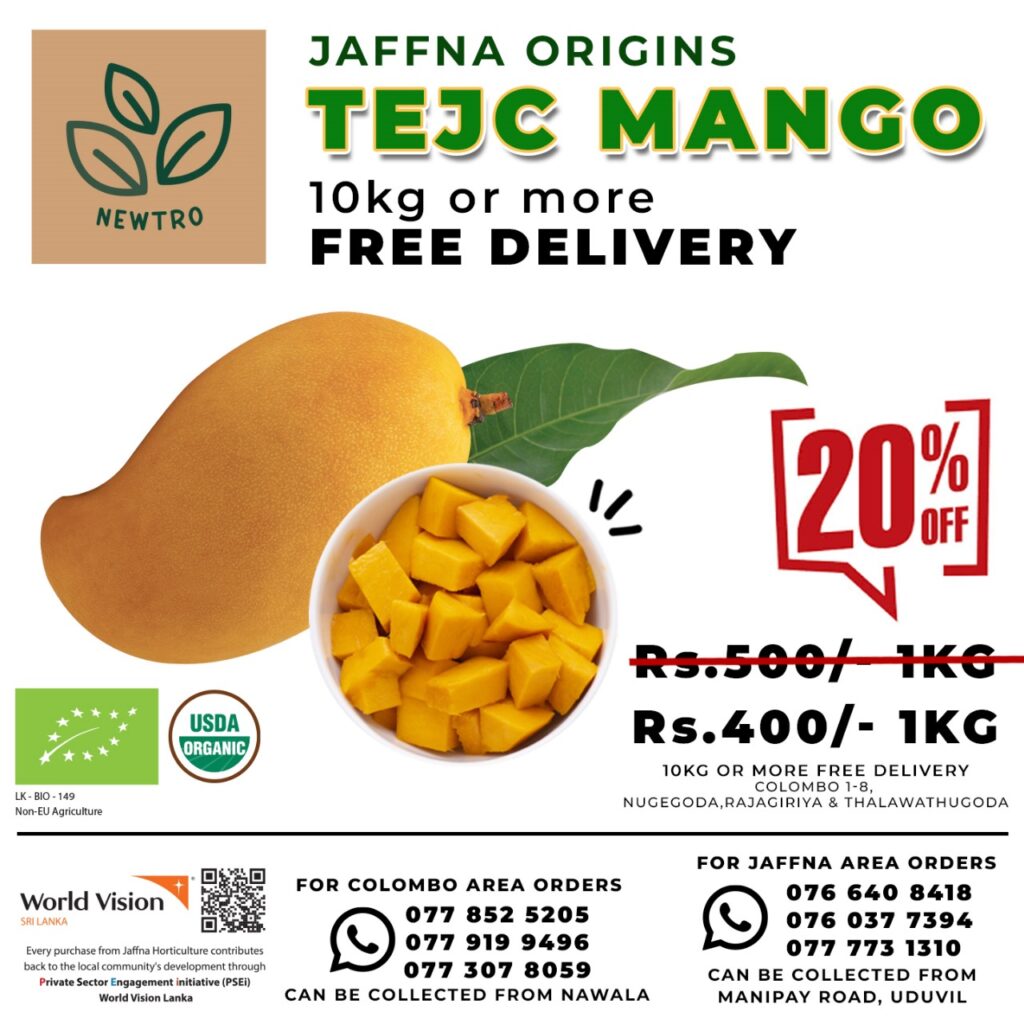 Jaffna Organic Mangoes, Export and Local Sales The Jaffna Club